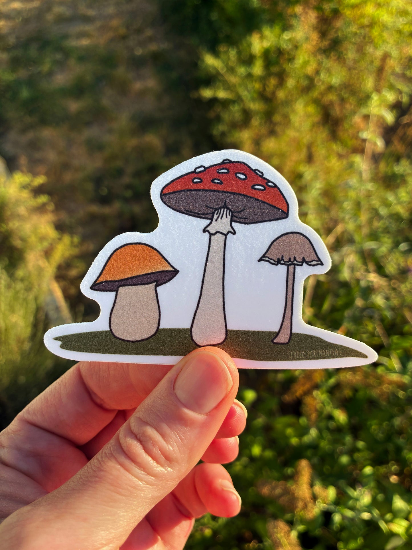 Mushroom Trio Vinyl Sticker
