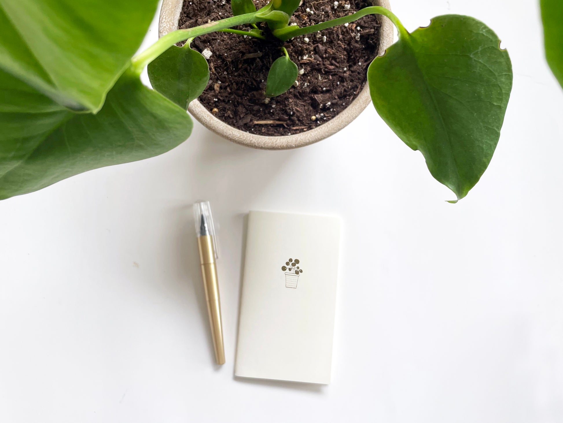 Foil Embossed Potted Pilea Plant Menagerie Mini Saddle Stitch Notebook - Studio Portmanteau