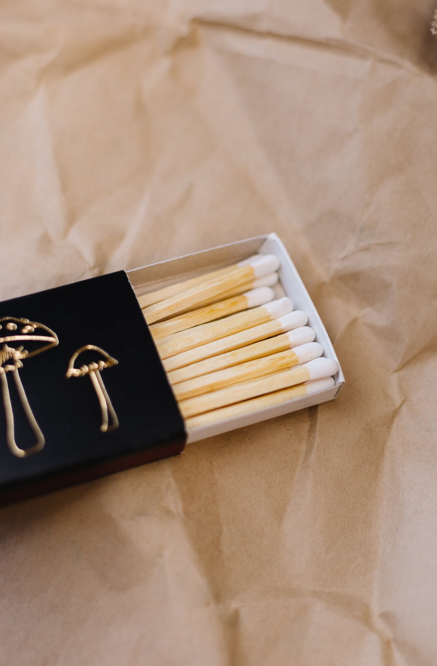 Mushroom Trio Matchbox