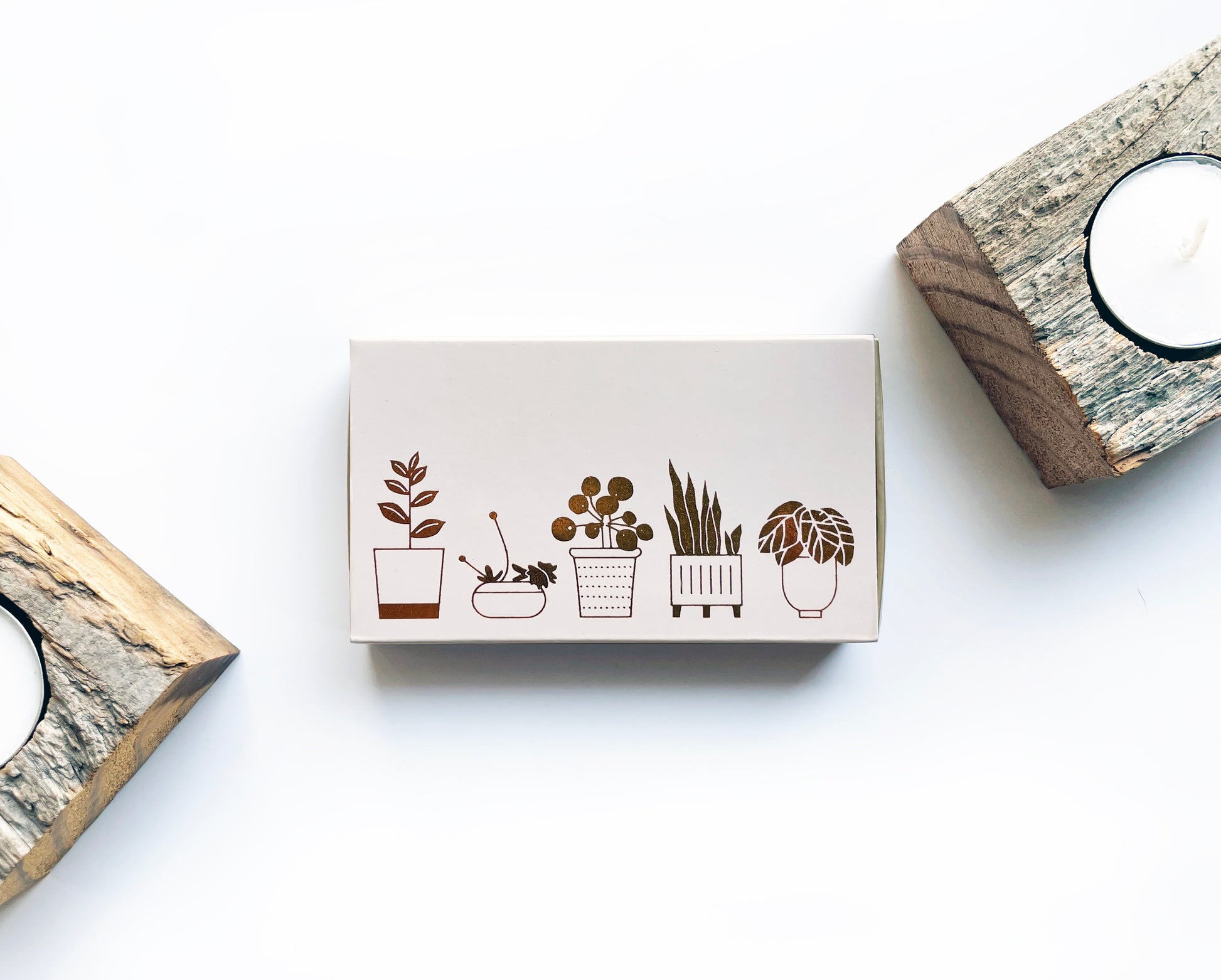 Potted Plants Large Candle Matchbox - Studio Portmanteau