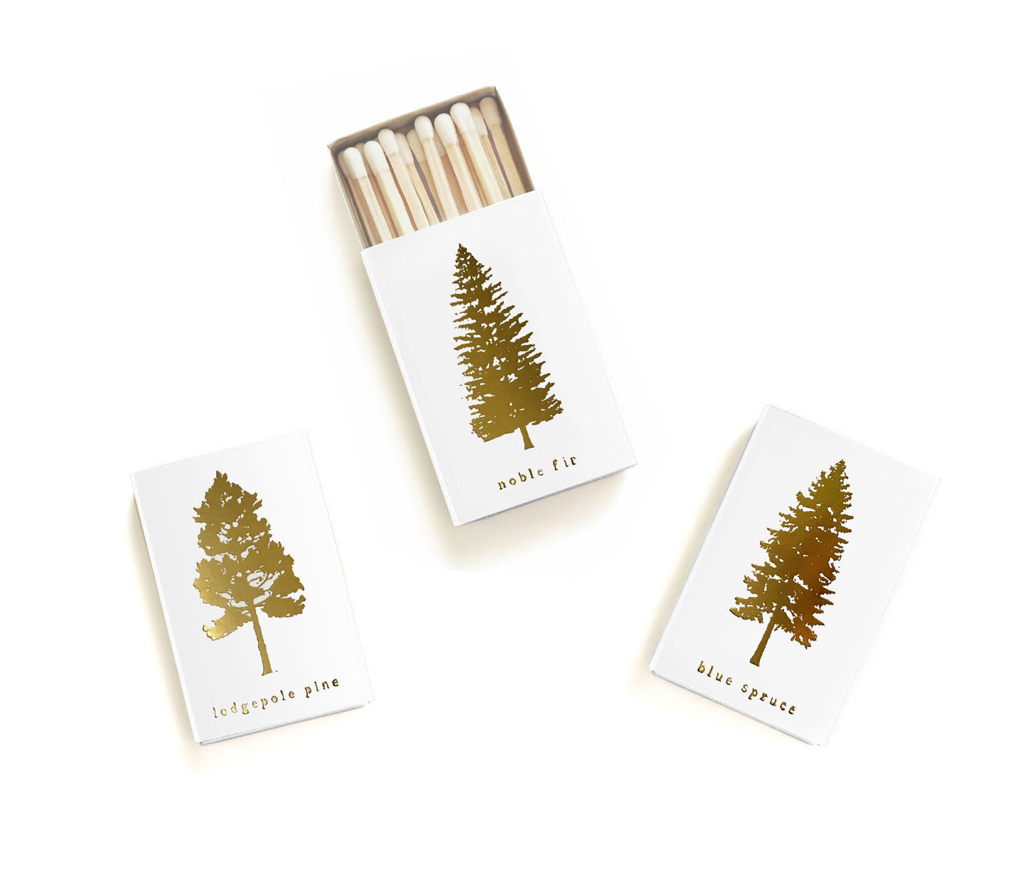 Noble Fir Tree Matchbox - Studio Portmanteau
