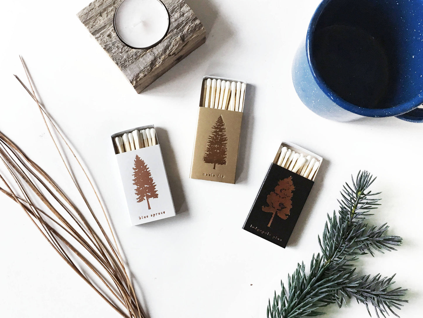 Lodgepole Pine Tree Matchbox - Studio Portmanteau