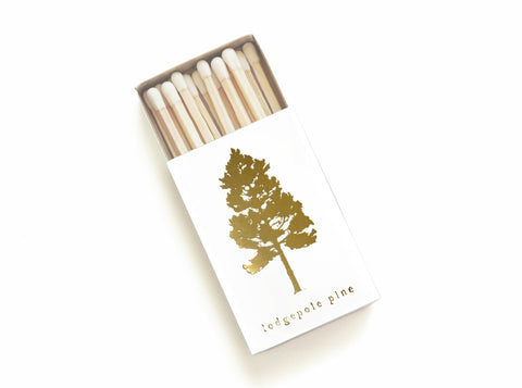 Lodgepole Pine Tree Matchbox - Studio Portmanteau
