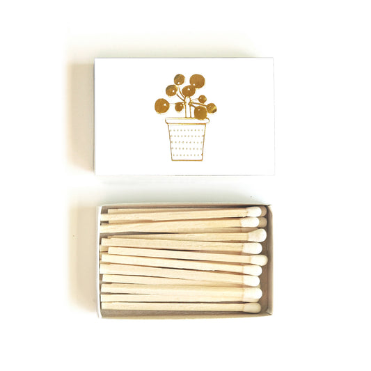 Potted Pilea Plant Matchbox - Studio Portmanteau