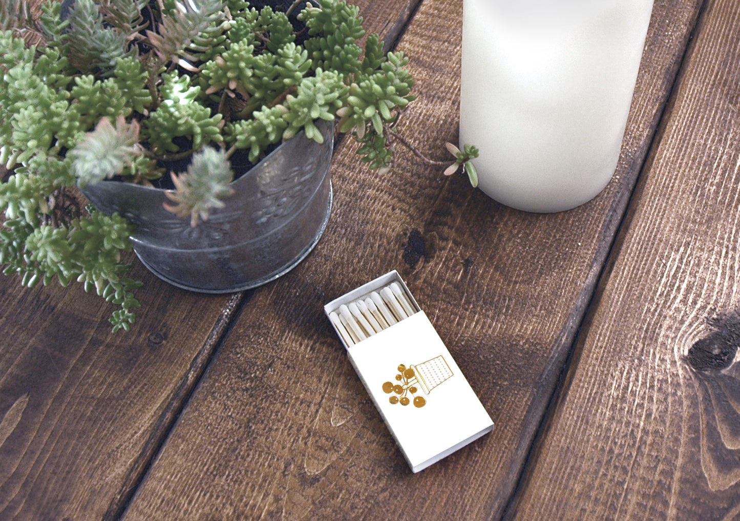 Potted Pilea Plant Matchbox - Studio Portmanteau