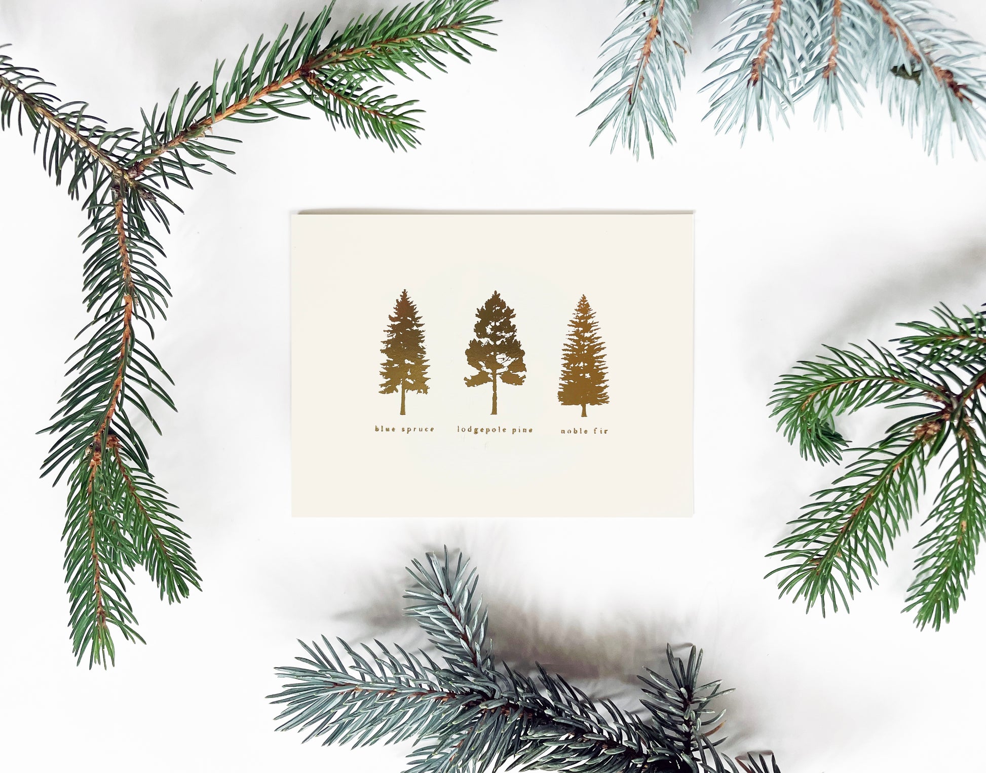 Golden Pines Greeting Card - Studio Portmanteau