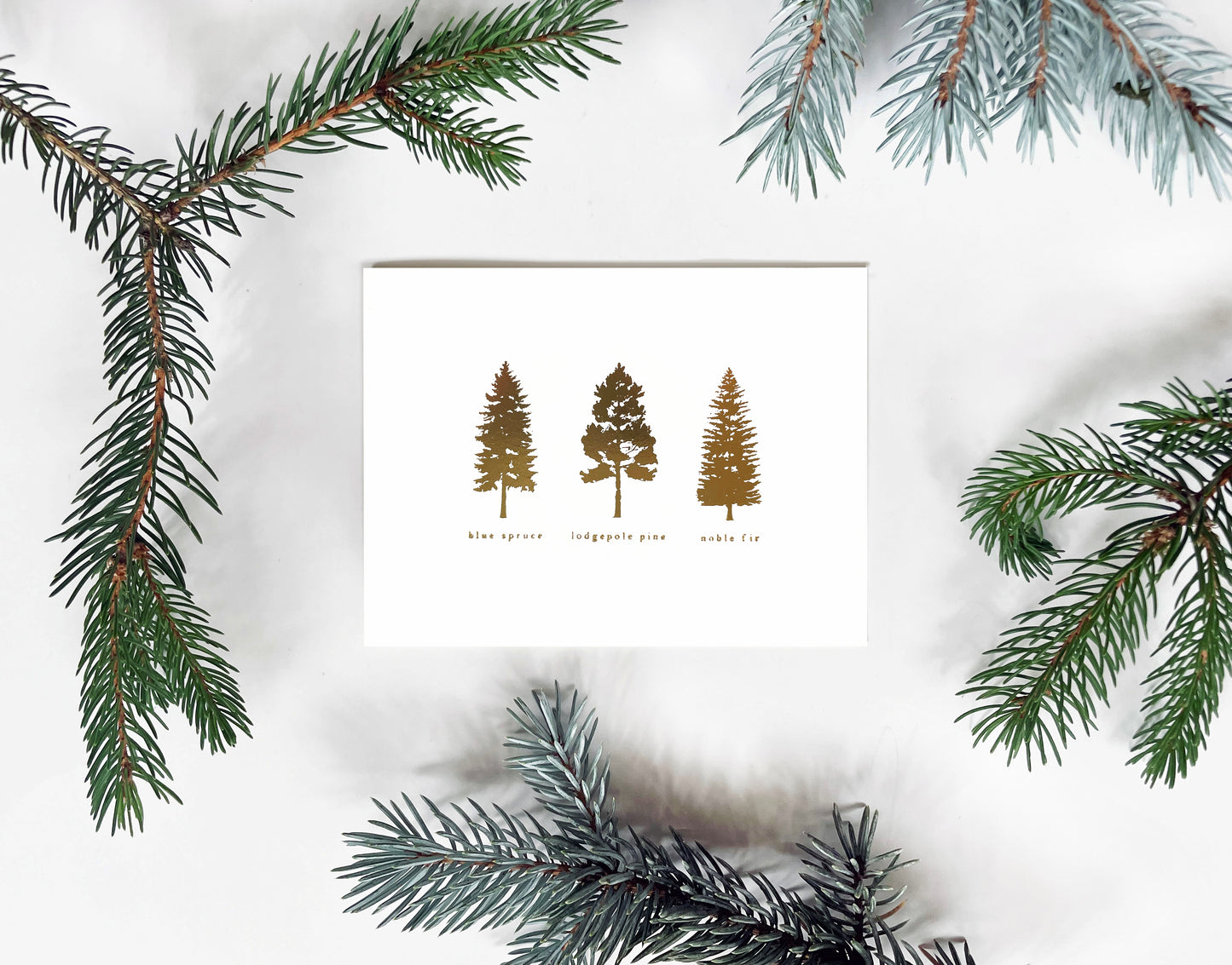 Golden Pines Greeting Card