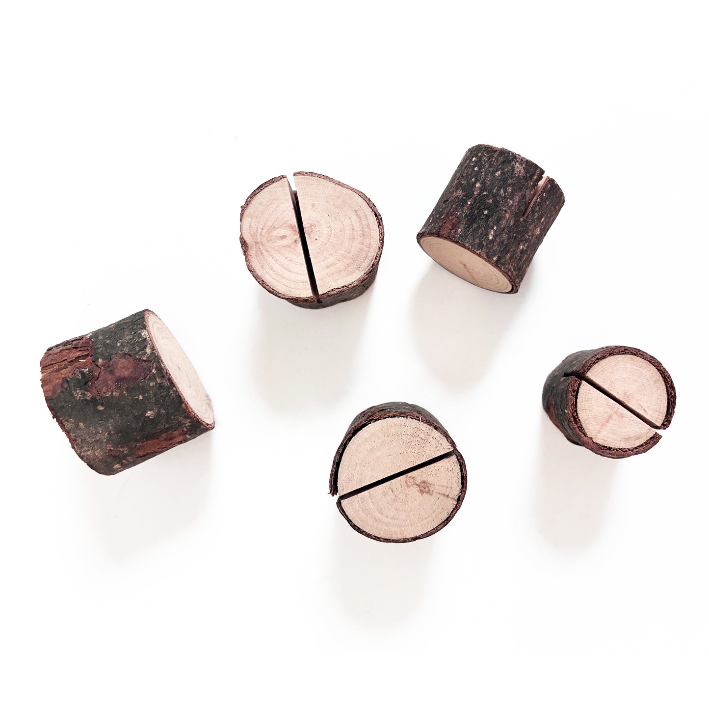 Tree Stump Card Holder | Nature-Inspired Greeting Card Stand