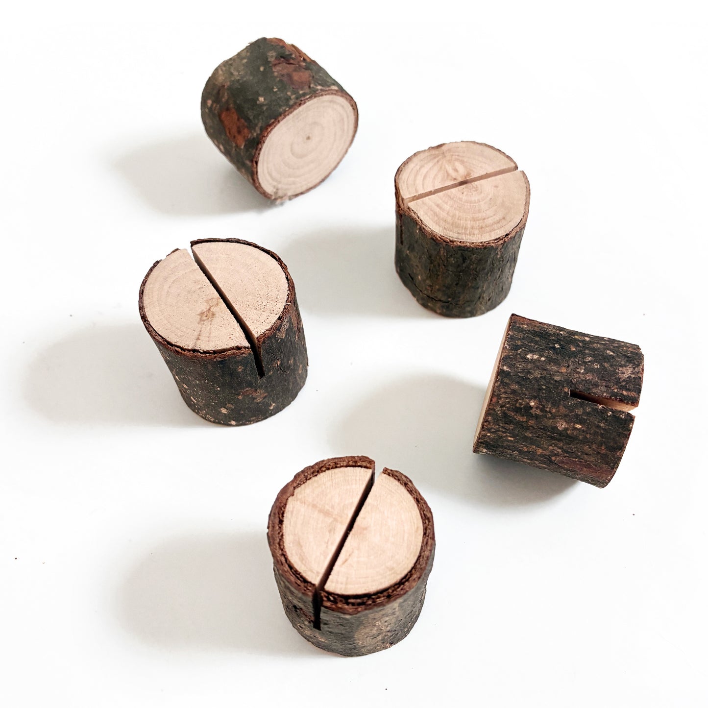Tree Stump Card Holder | Nature-Inspired Greeting Card Stand