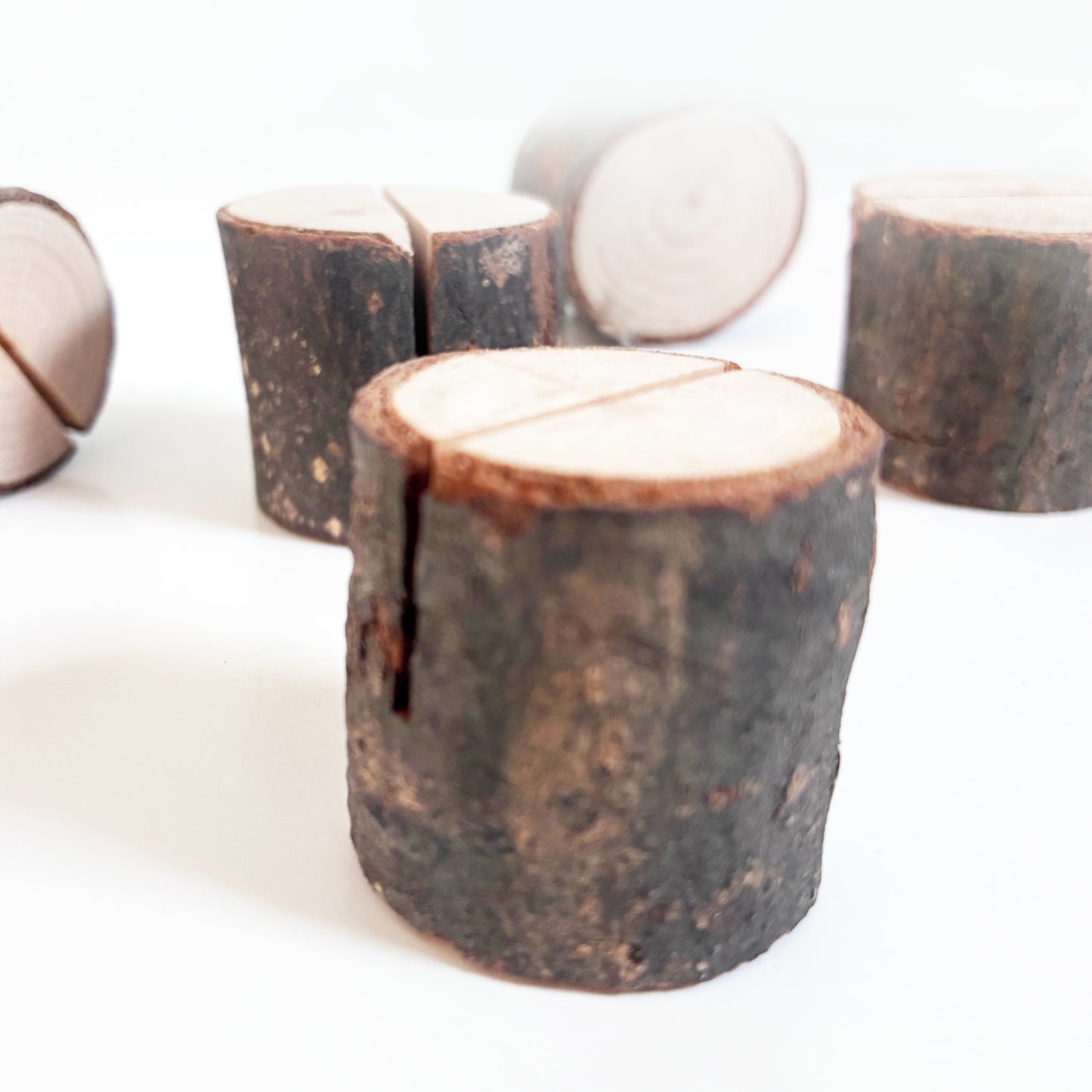 Tree Stump Card Holder | Nature-Inspired Greeting Card Stand