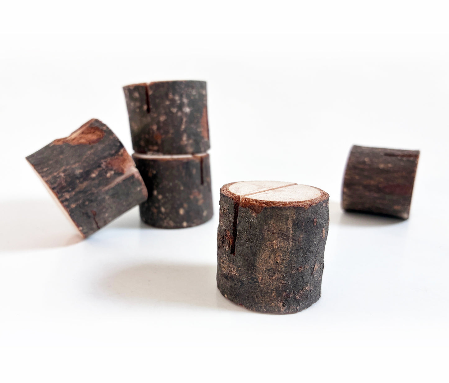 Tree Stump Card Holder | Nature-Inspired Greeting Card Stand