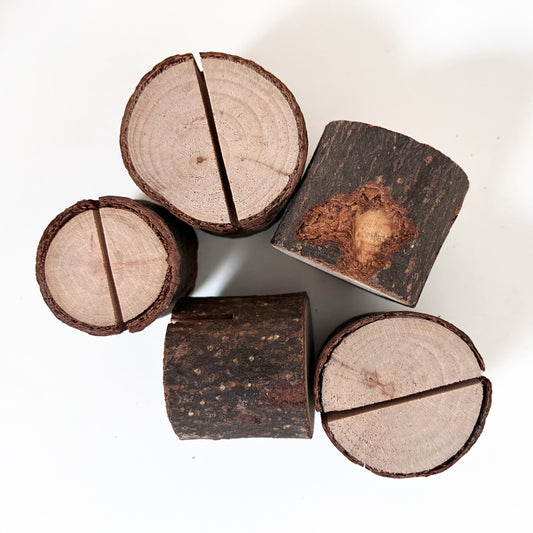 Tree Stump Card Holder | Nature-Inspired Greeting Card Stand