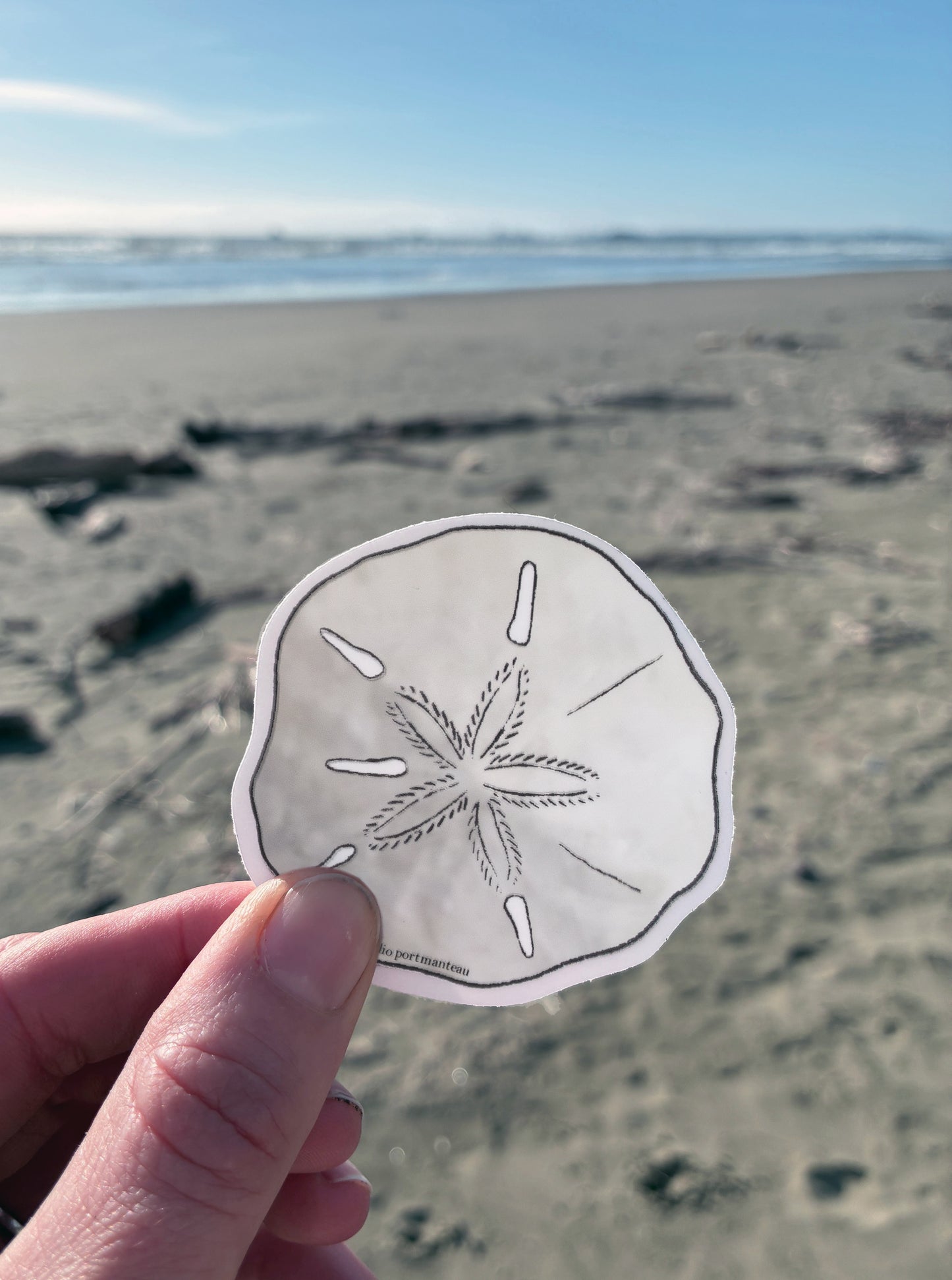 Sand Dollar Vinyl Sticker