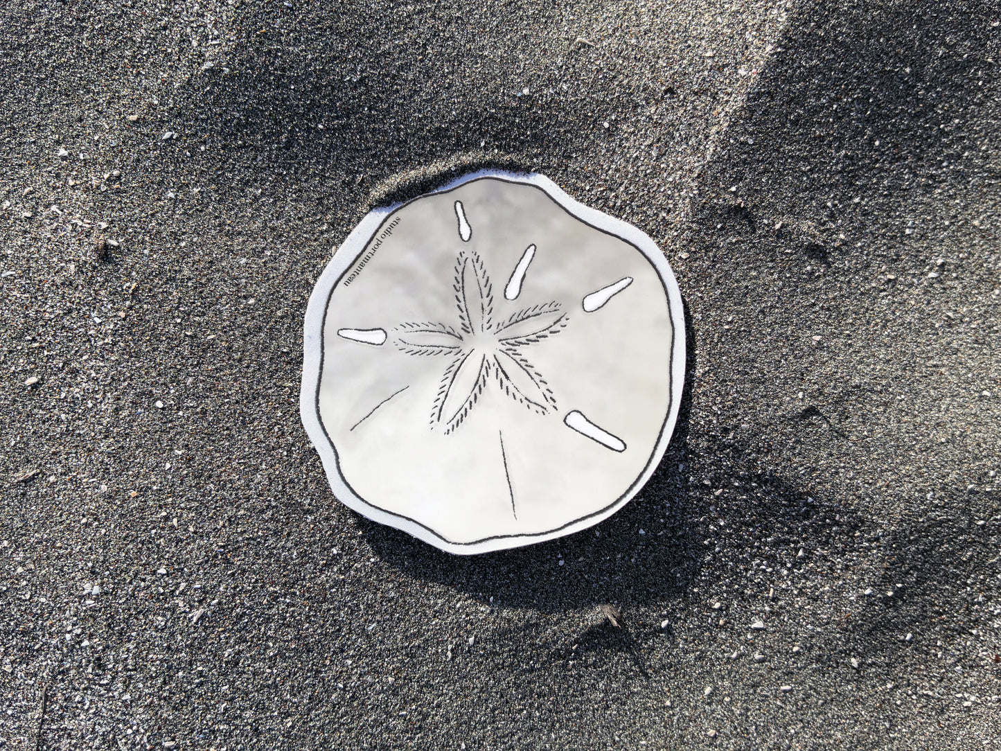 Sand Dollar Vinyl Sticker