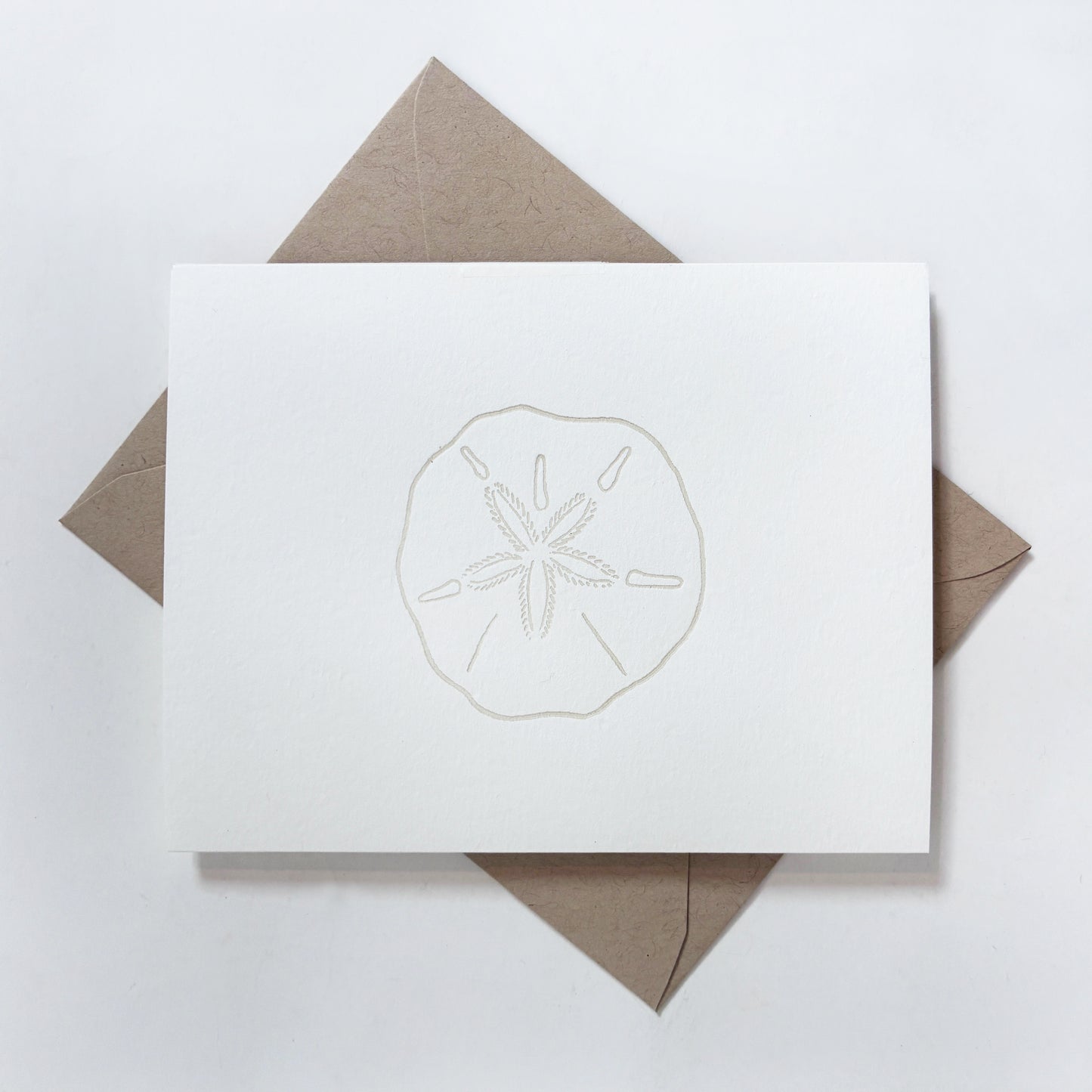 Sand Dollar Everyday Greeting Card | Coastal Beach Note Card