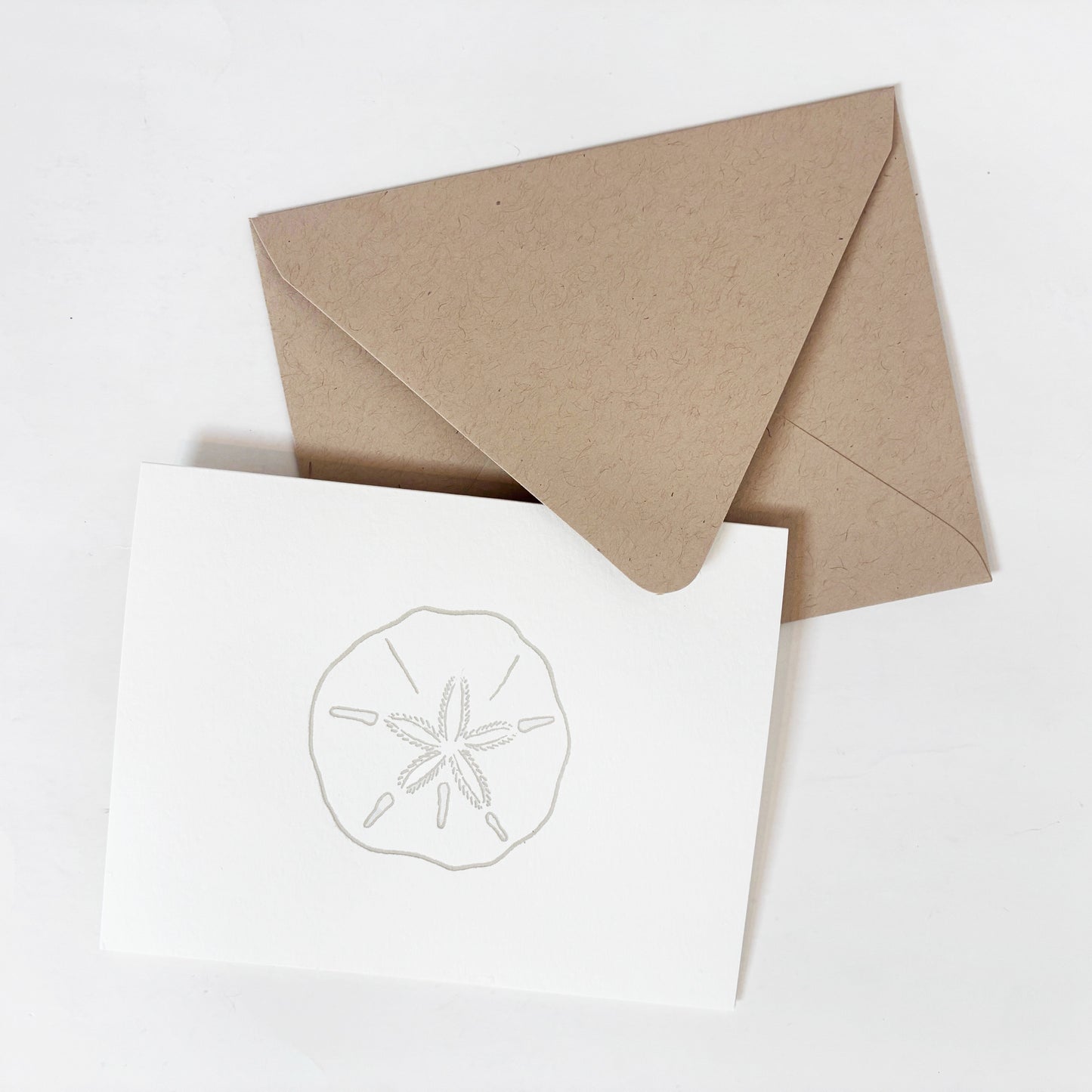 Sand Dollar Everyday Greeting Card | Coastal Beach Note Card