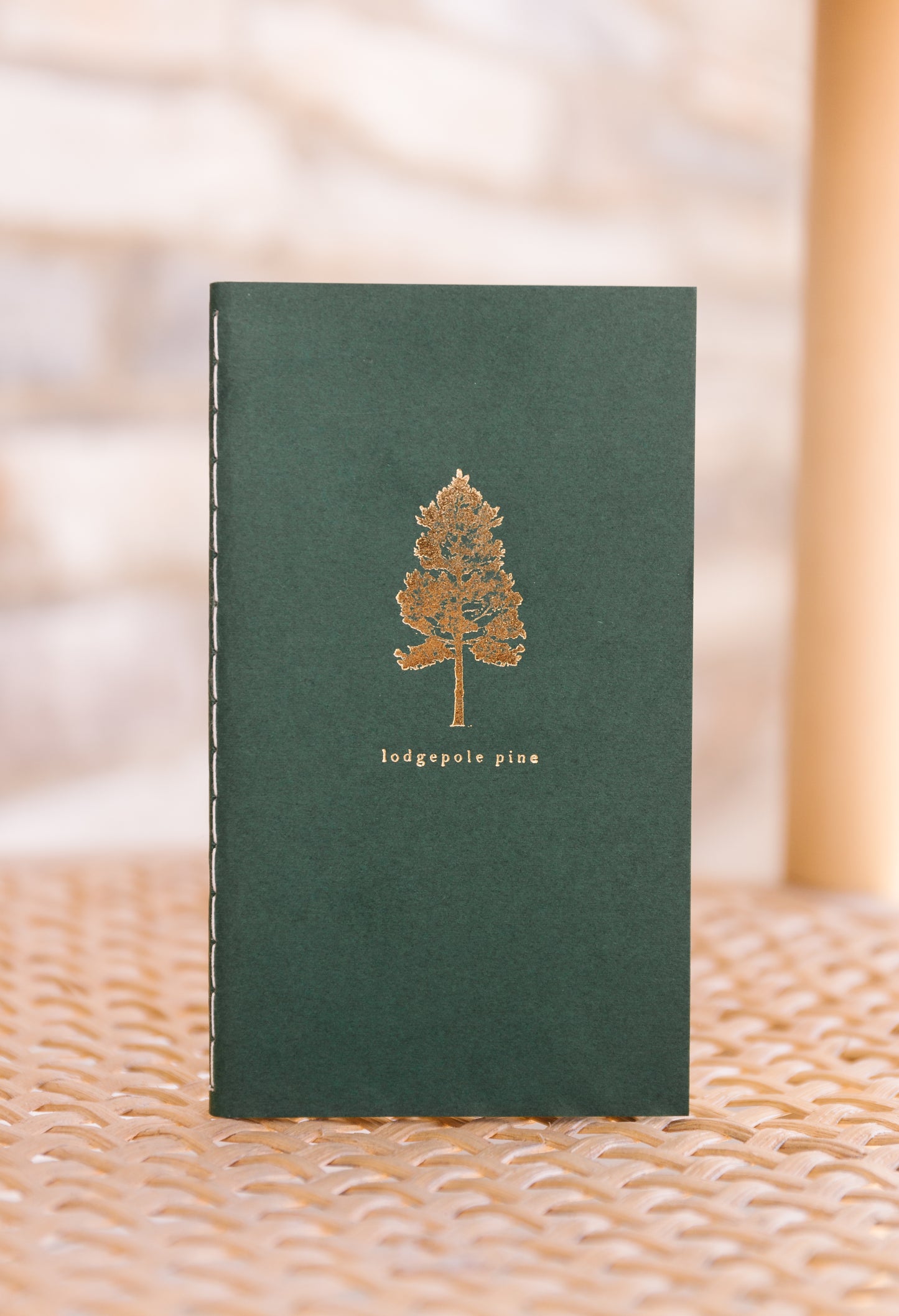 Snow Capped Mountains Mini Saddle Stitch Notebook