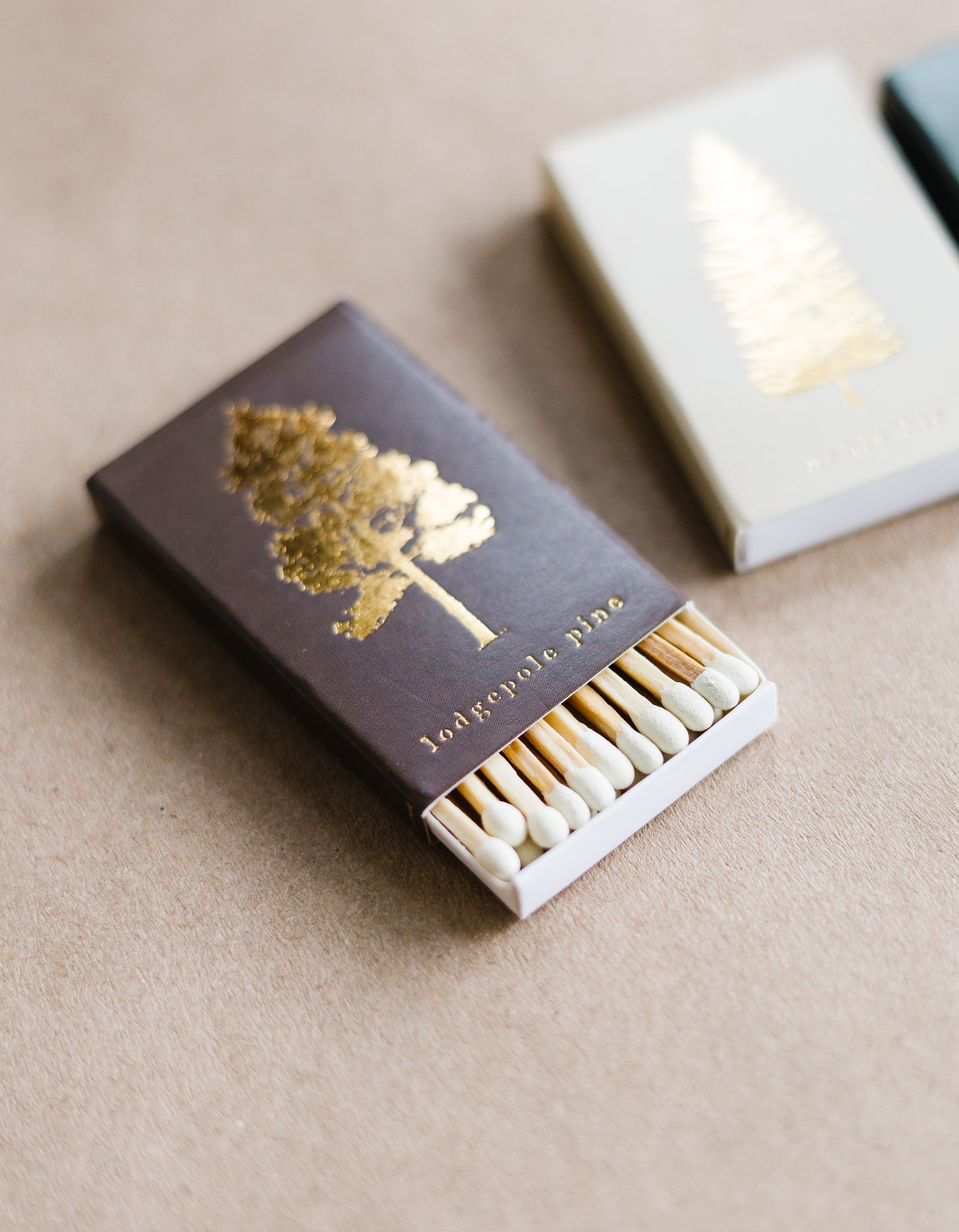 Lodgepole Pine Tree Matchbox