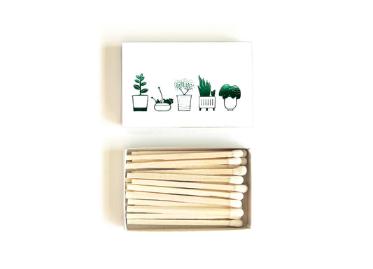 Potted Plants Matchbox - Studio Portmanteau